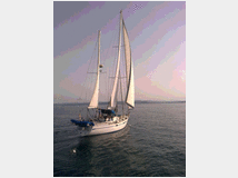Barca a velafranchini yachts sintesi anno1983